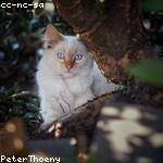 Otis Gislason Profile Picture