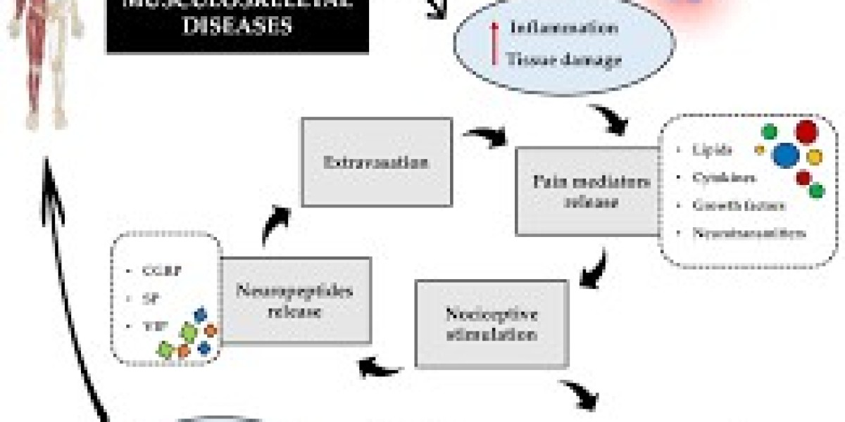 Carisoprodol: A Comprehensive Overview