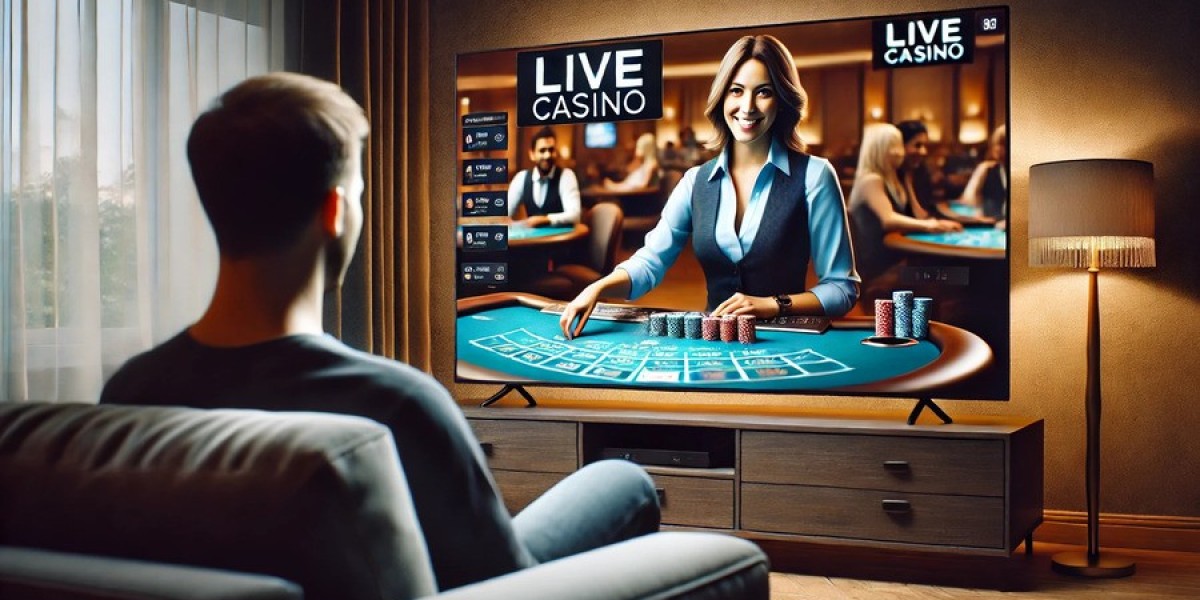 Explore the Casino Site Experience