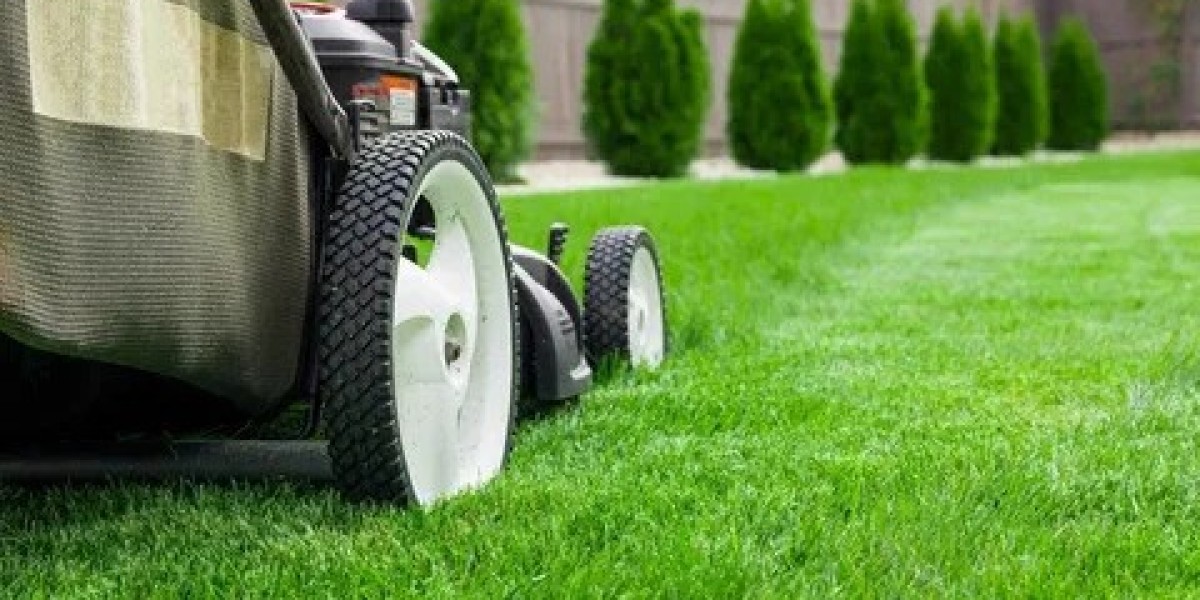 Expert Tree Removal and Lawn Care Service in Plano – Warrior Landscaping Services