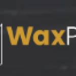 Wax Papers co_uk Profile Picture