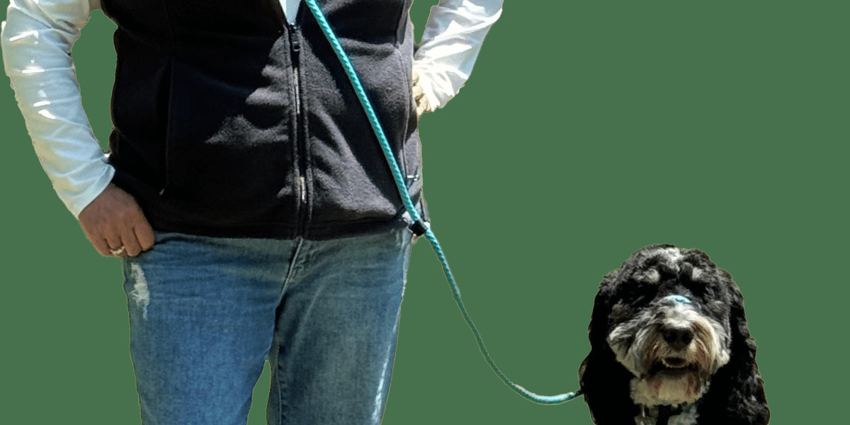 The New Way to Walk: Your Modern Lifestyle with Good Walker Hands-free Leash