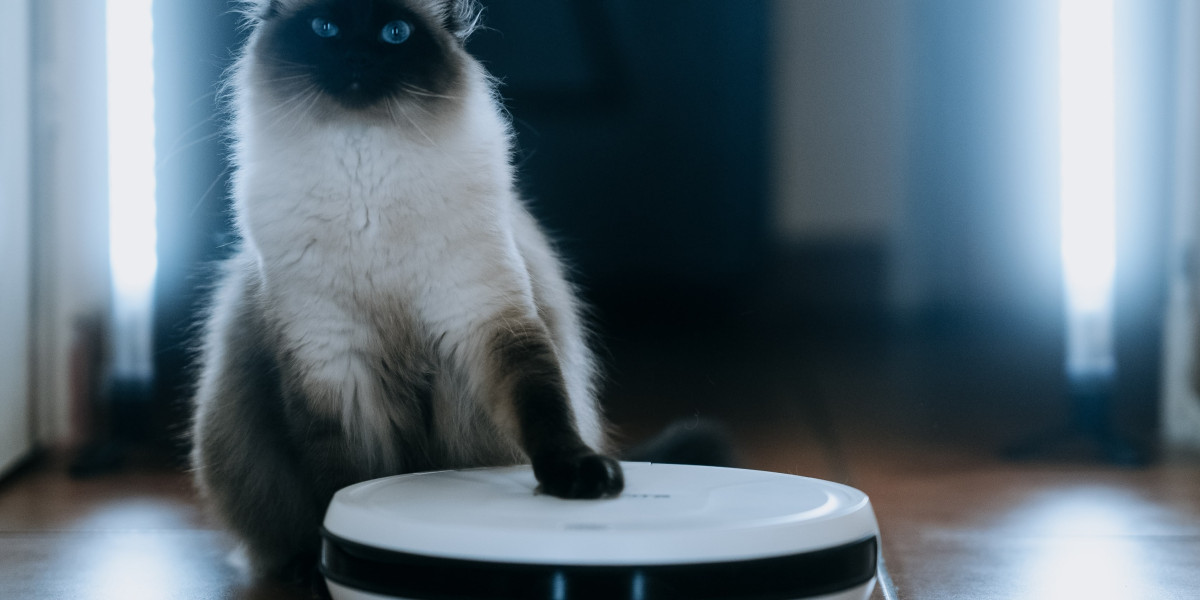 The Ultimate Guide to Robot Vacuum Sales: How to Choose the Right One for Your Home