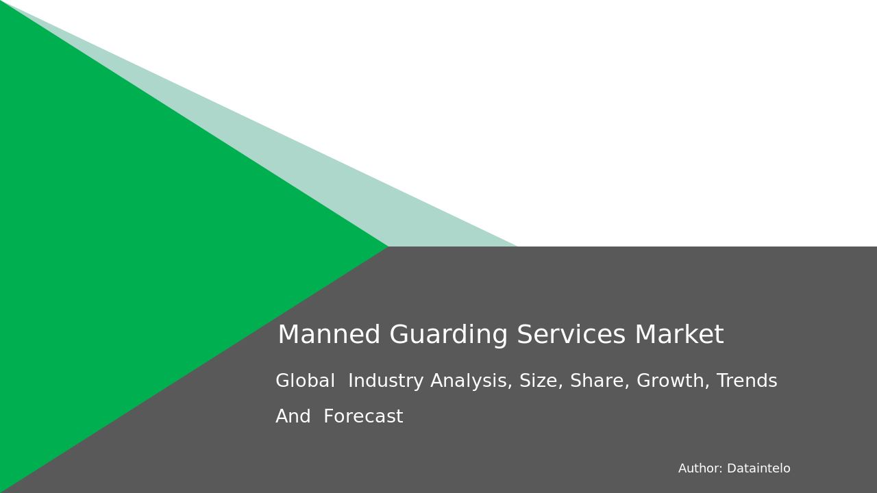 Manned Guarding Services Market Research Report 2032