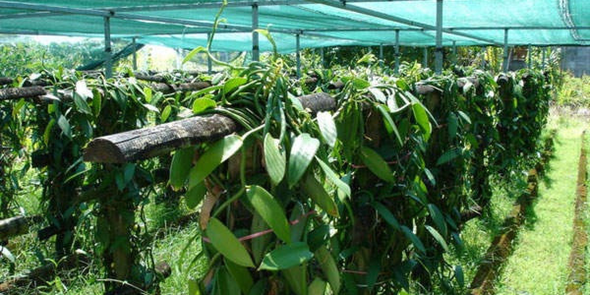 Guide to Setting Up a Vanilla Processing Plant