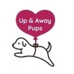 Up and Away Pups Profile Picture