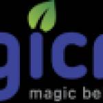 magic rete Profile Picture