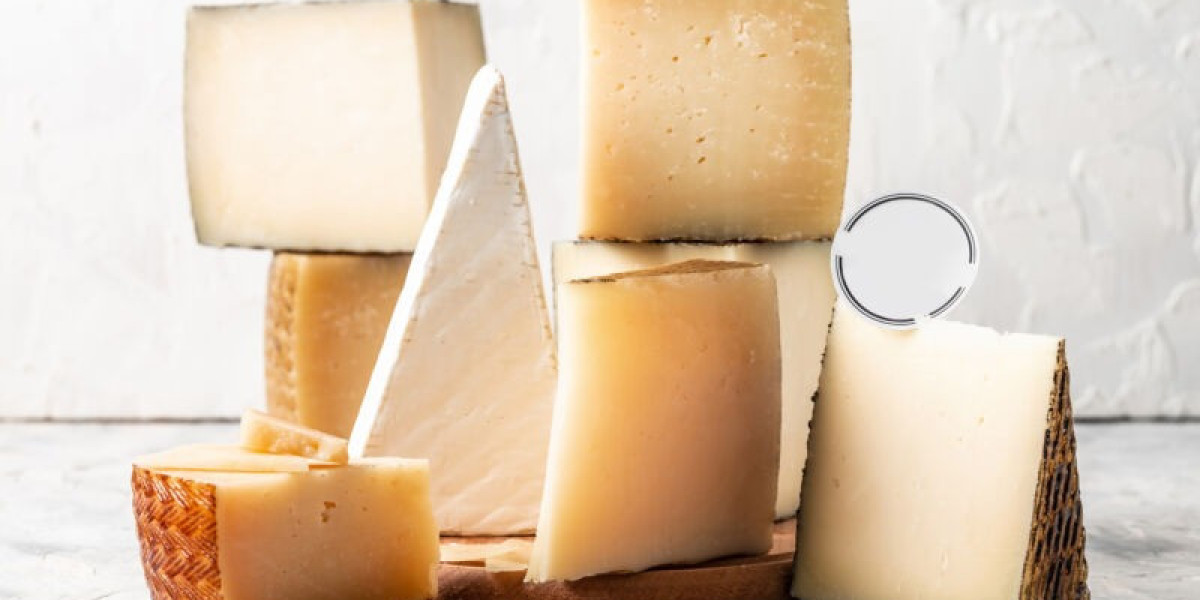 Detailed Analysis for Setting up a Plant-Based Cheese Manufacturing Plant | Report by IMARC Group