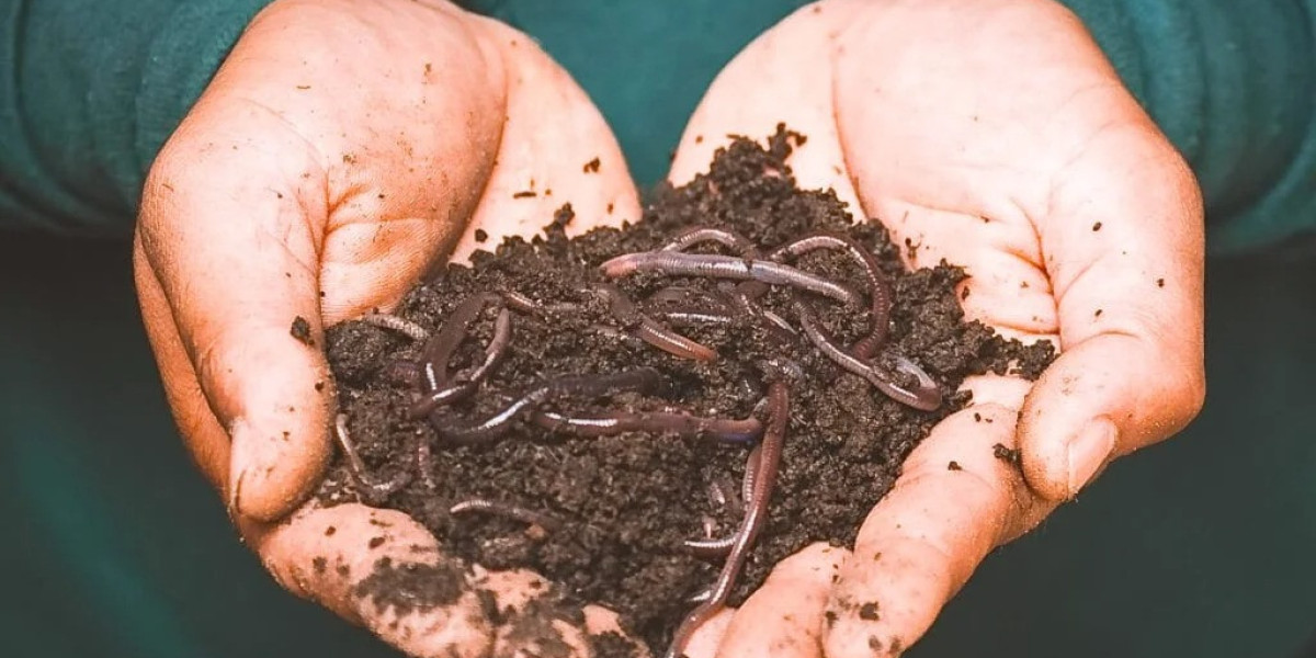 Vermicompost Manufacturing Plant Report: Unit Operations, Raw Material and Utility Requirements